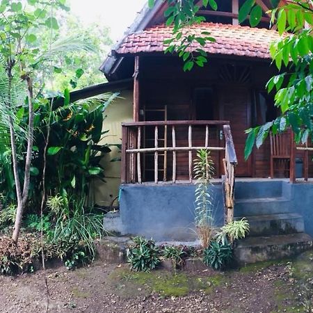 Echo Alam Nusa Lodge Ped Bagian luar foto