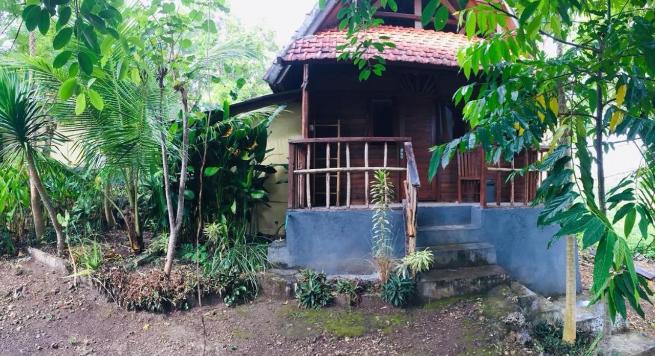 Echo Alam Nusa Lodge Ped Bagian luar foto