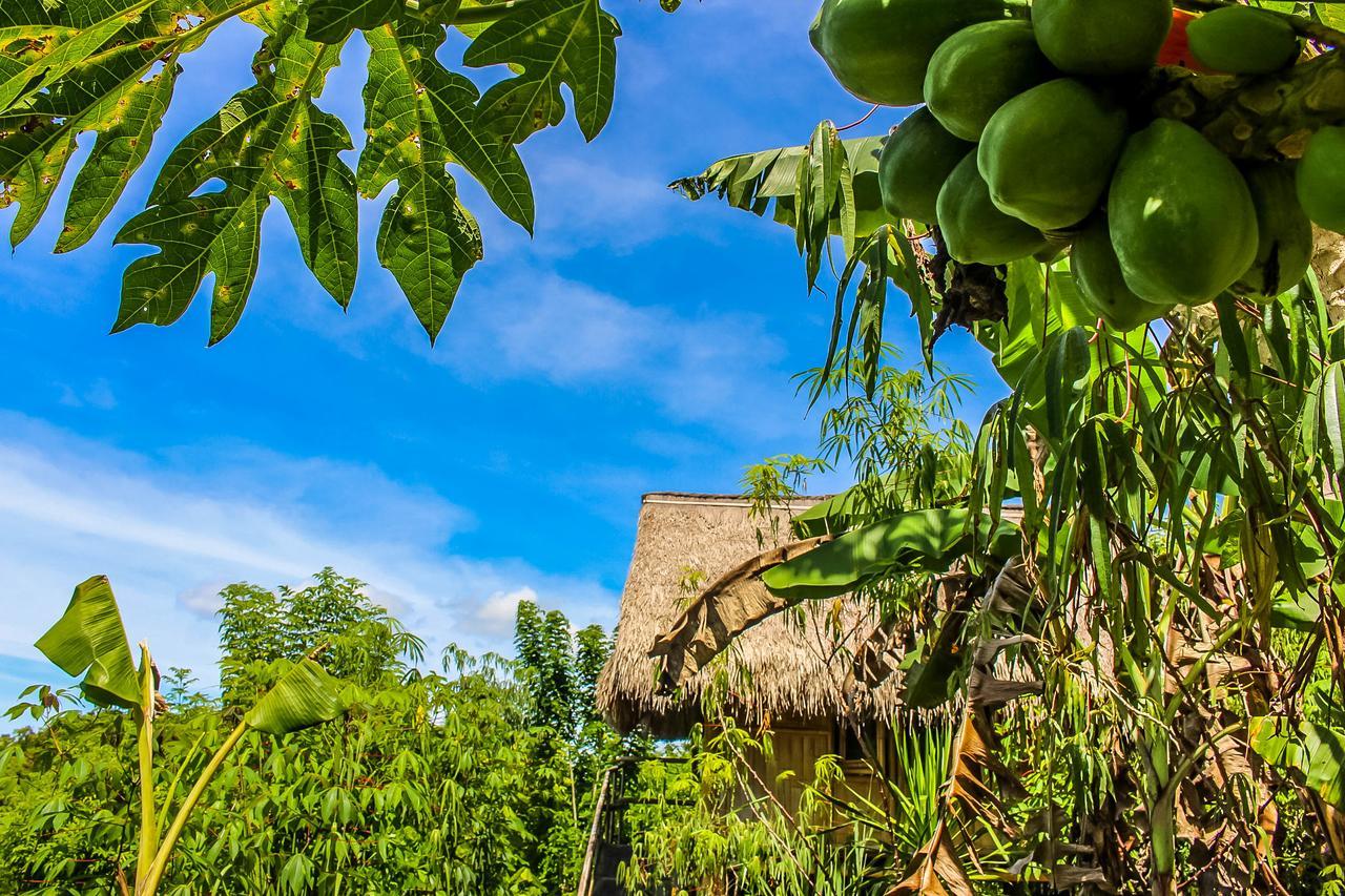 Echo Alam Nusa Lodge Ped Bagian luar foto
