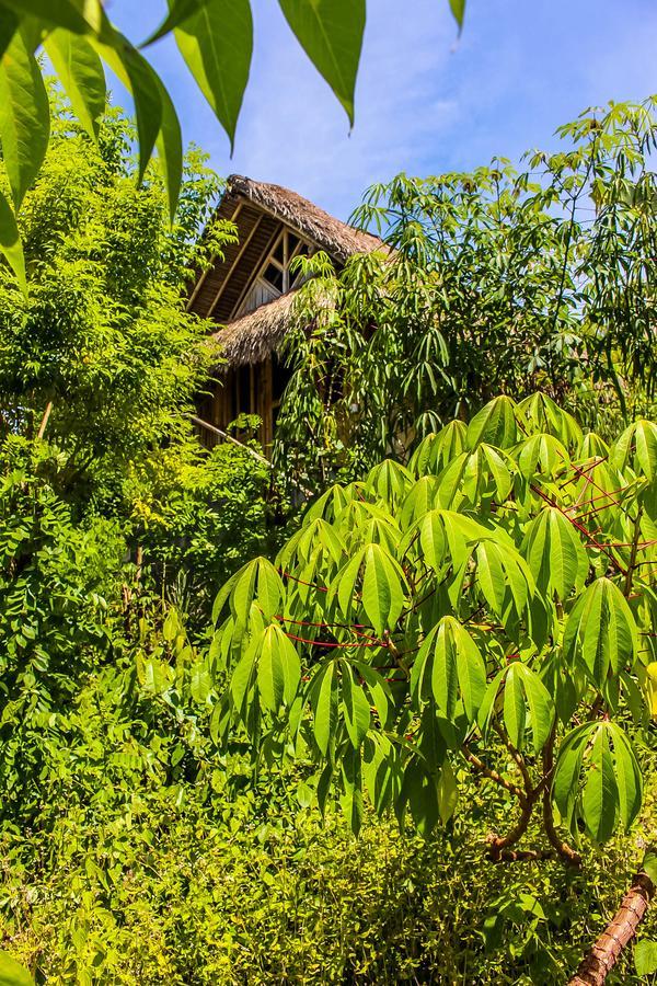 Echo Alam Nusa Lodge Ped Bagian luar foto